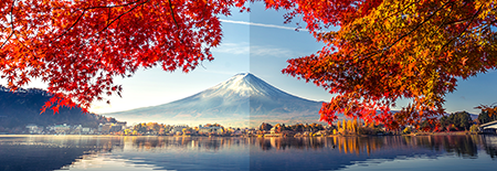 ASUS ProArt Display PA328QV