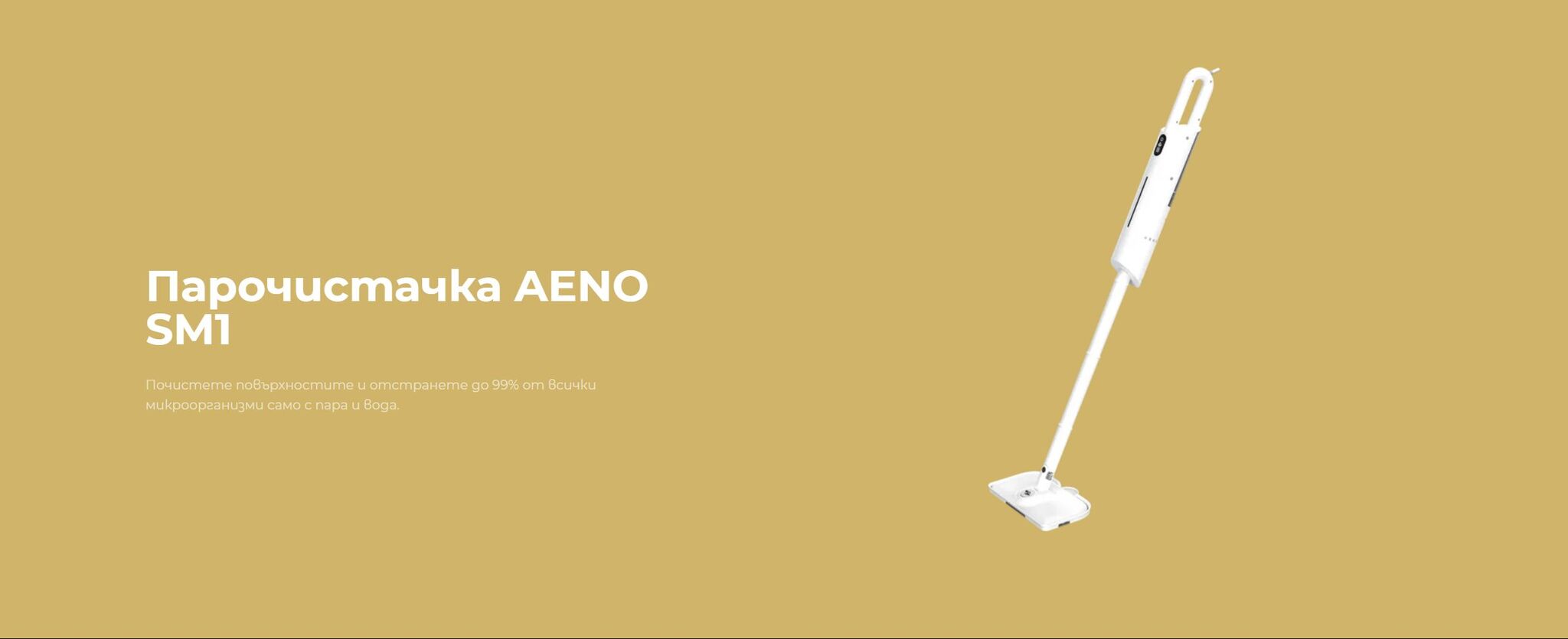 AENO_SM1