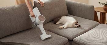 Информация за снимката