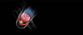 Информация за снимката