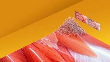 Информация за снимката