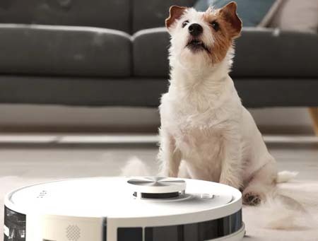 Ефективно ежедневно почистване на косми от домашни любимци