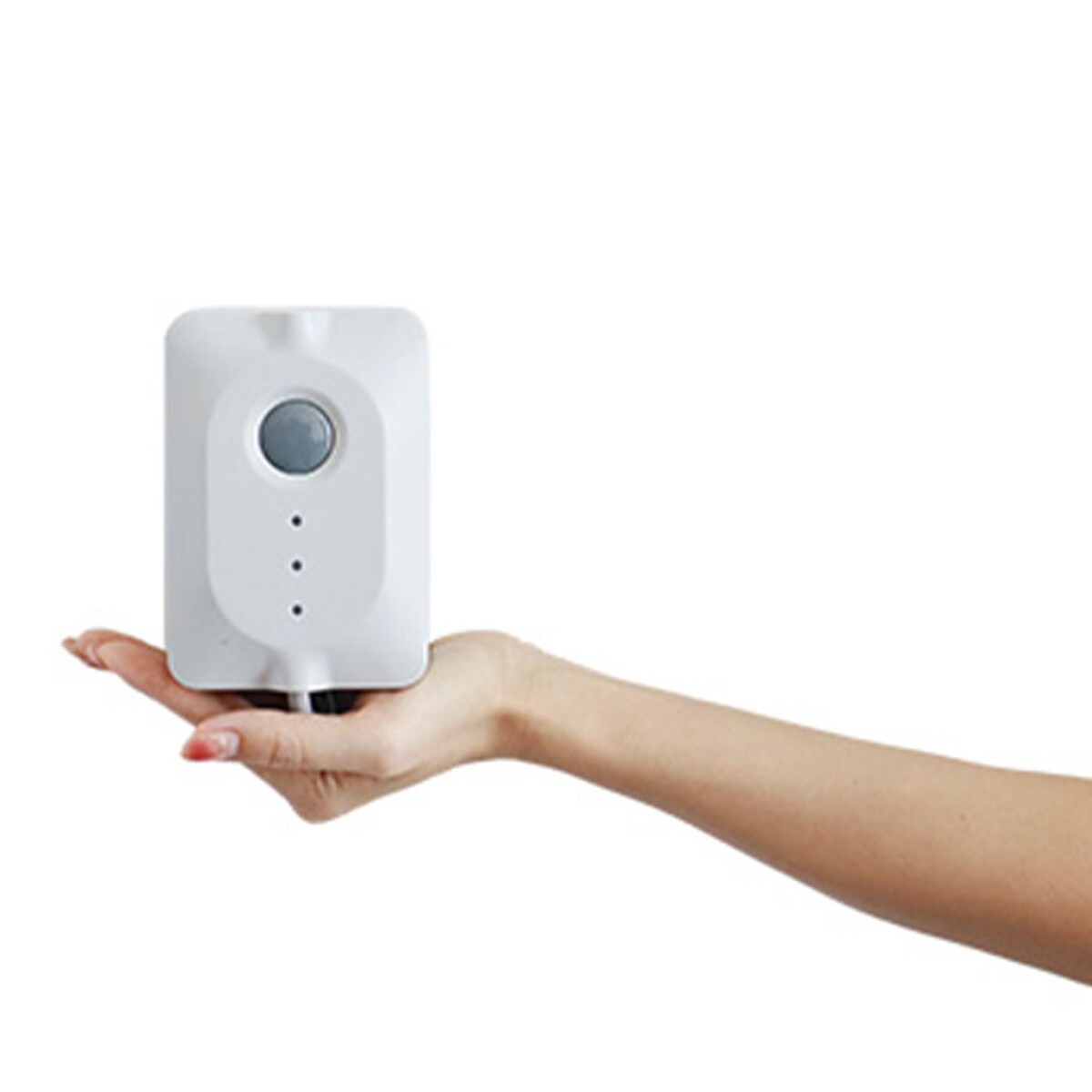 Информация за снимката