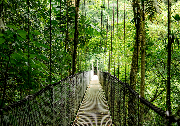 HP EliteBook X Flip G1i