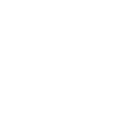 Thin Bezel logo
