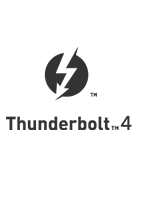 thunderbolt logo