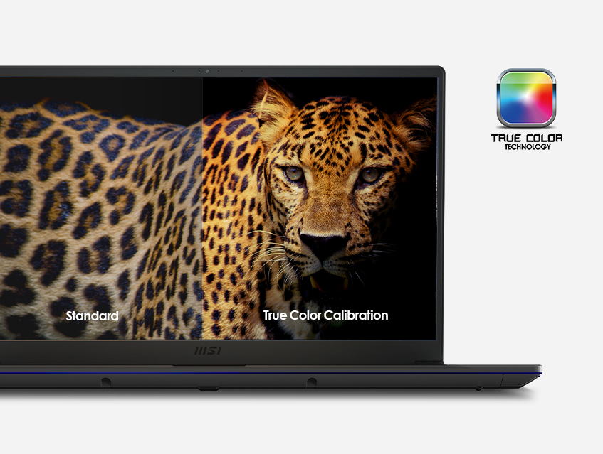Prestige 15 true pixel true color