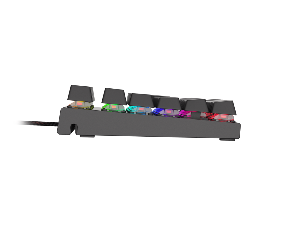 Клавиатура Genesis Mechanical Gaming Keyboard Thor 300 TKL RGB US Layout 5