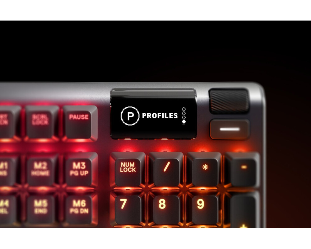 Клавиатура SteelSeries Apex Pro US 6
