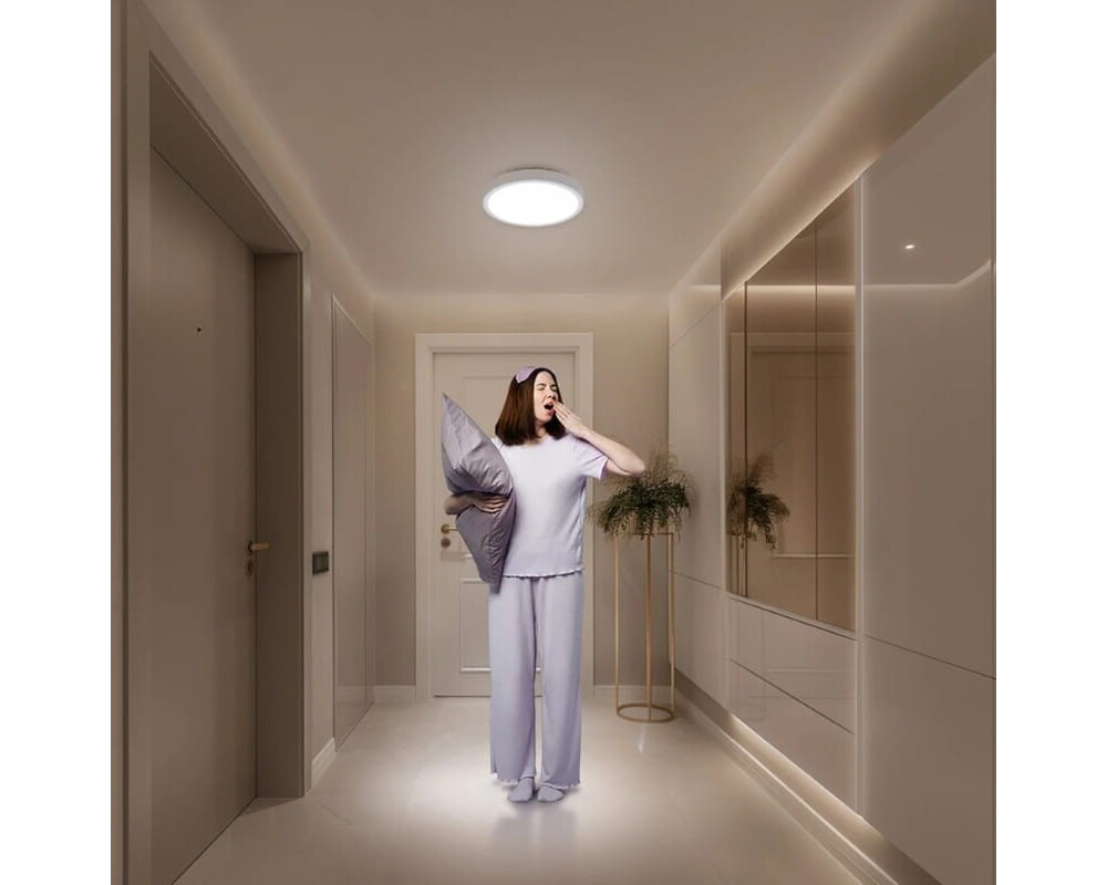 Smart осветително тяло Xiaomi Smart Ceiling Light D20 5