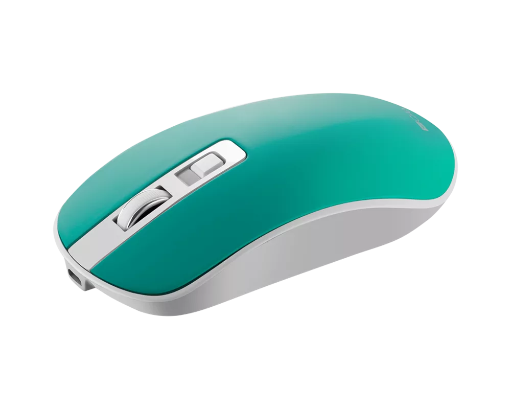 Мишка CANYON MW-18 2