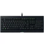 <span>Клавиатура</span> Razer Cynosa Lite - US Layout <span class='catalog-num-in-name'>RZ03-02740600-R3M1</span> - 