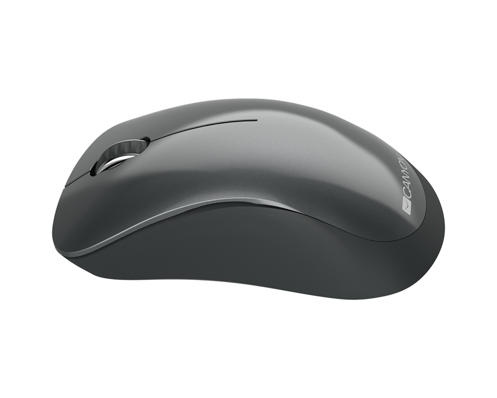 Мишка CANYON MW-11 2