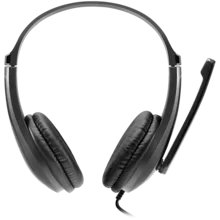  CANYON HSC-1 basic PC headset with microphone 178940 CNS-CHSC1B на топ цена - PIC.bg