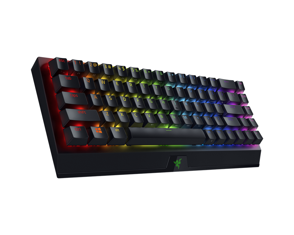 Клавиатура Razer BlackWidow V3 Mini HyperSpeed - Wireless Mechanical Gaming Keyboard 3