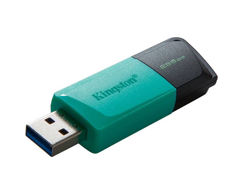 Флаш памет KINGSTON 256GB DataTraveler Exodia M 7