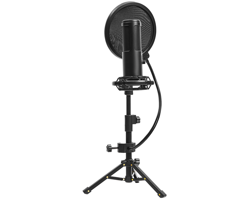 Микрофон LORGAR Voicer 721 10