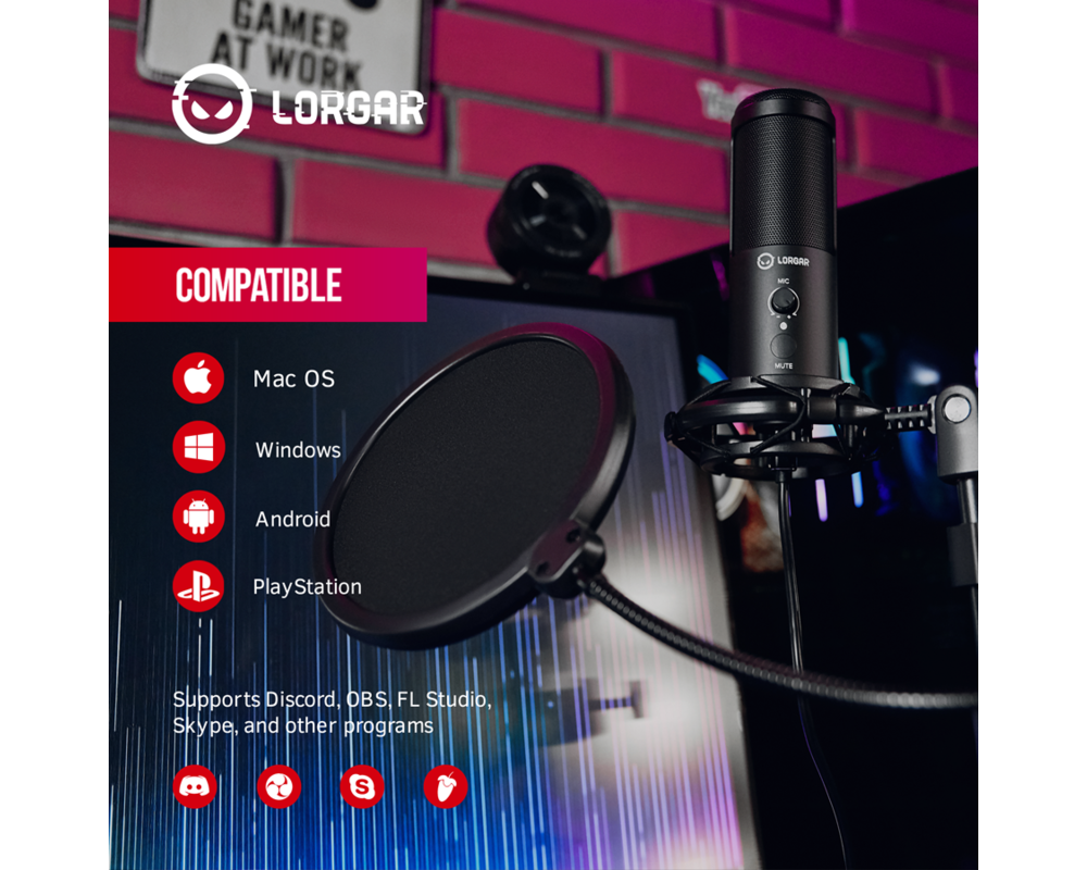 Микрофон LORGAR Voicer 721 2