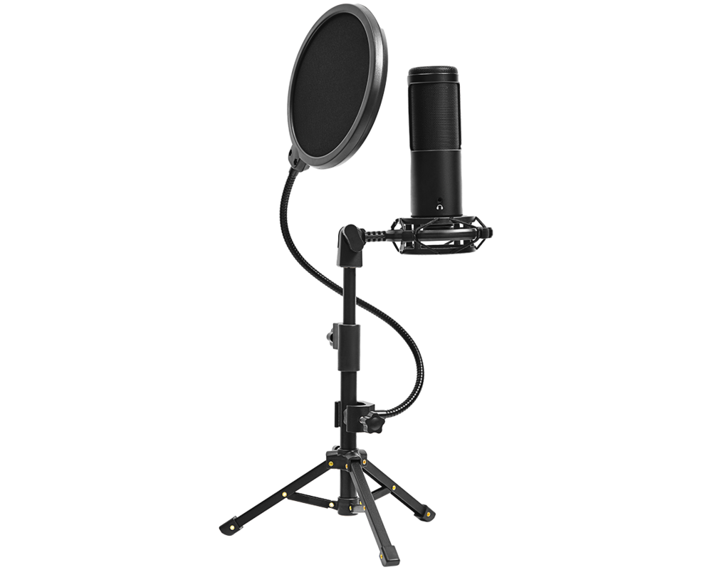 Микрофон LORGAR Voicer 721 9