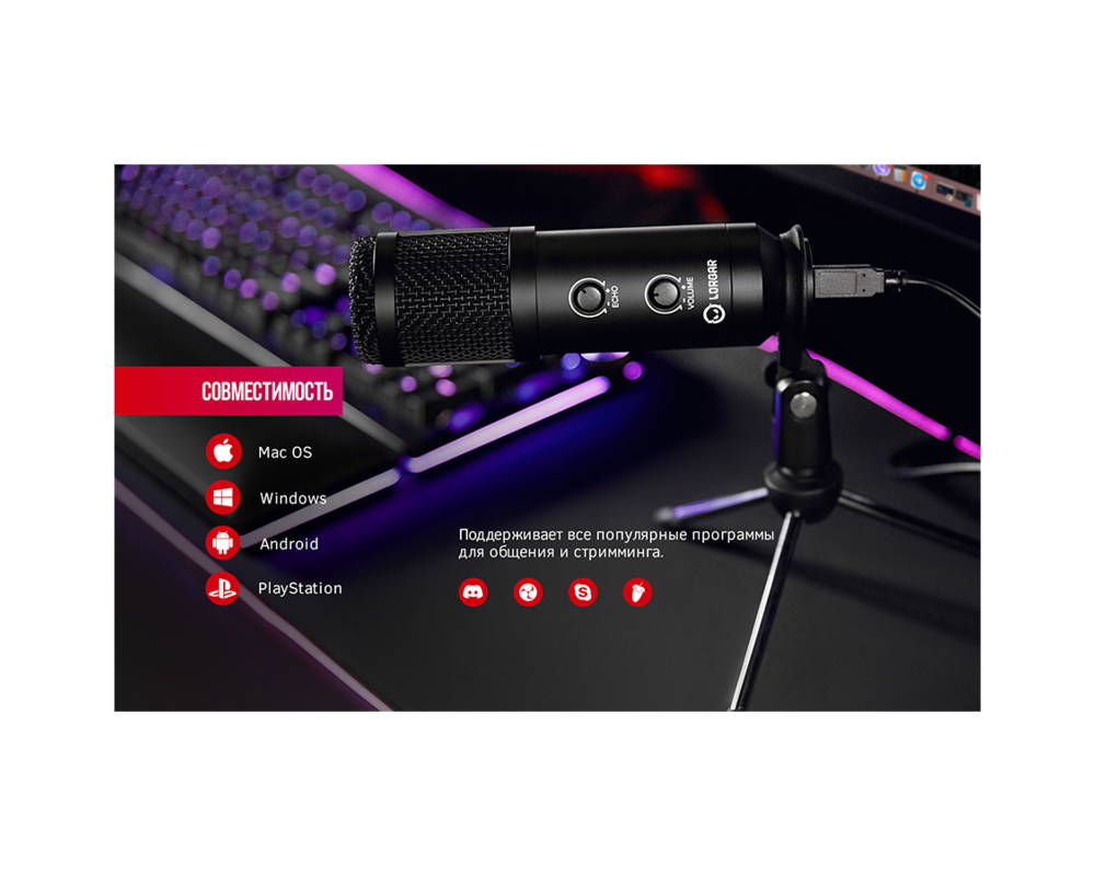 Микрофон LORGAR Voicer 721 4