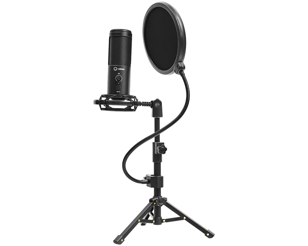 Микрофон LORGAR Voicer 721 11
