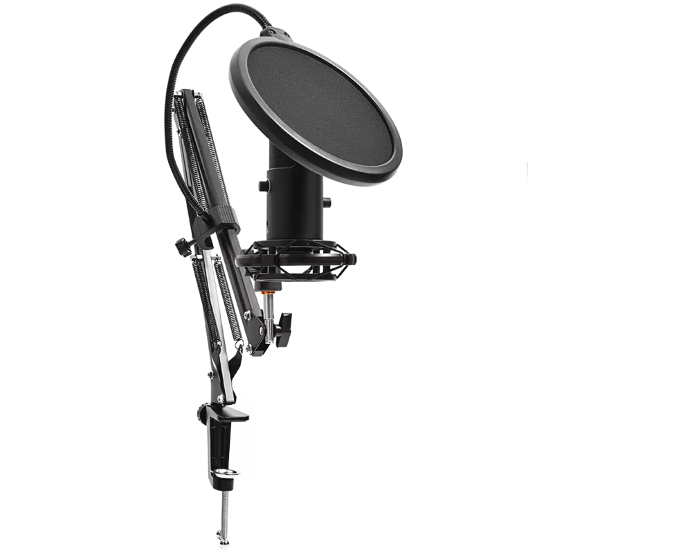 Микрофон LORGAR Voicer 931 3