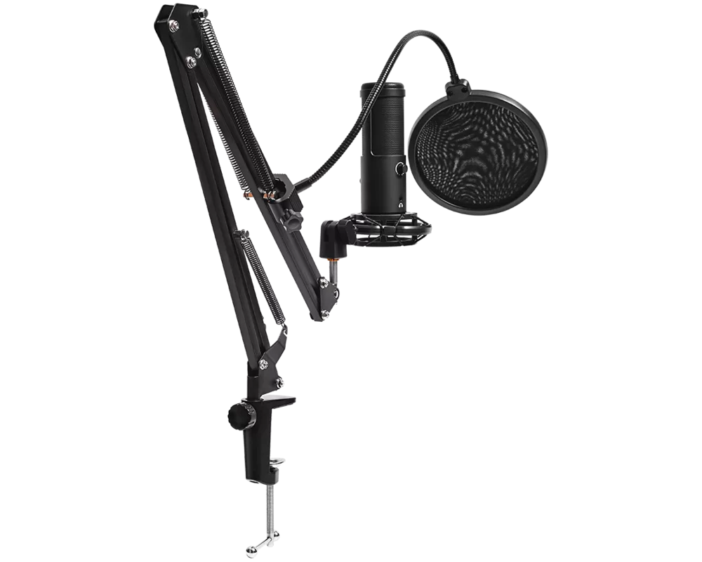 Микрофон LORGAR Voicer 931 6