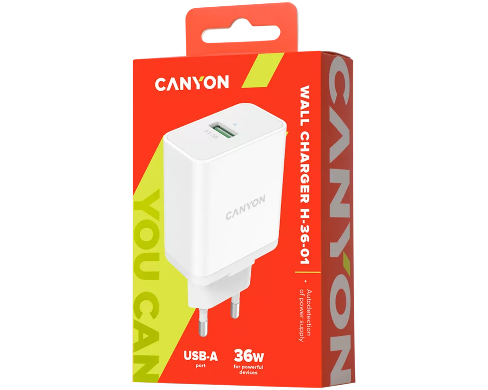 Зарядно Canyon H-36-01 WALL Charger 4