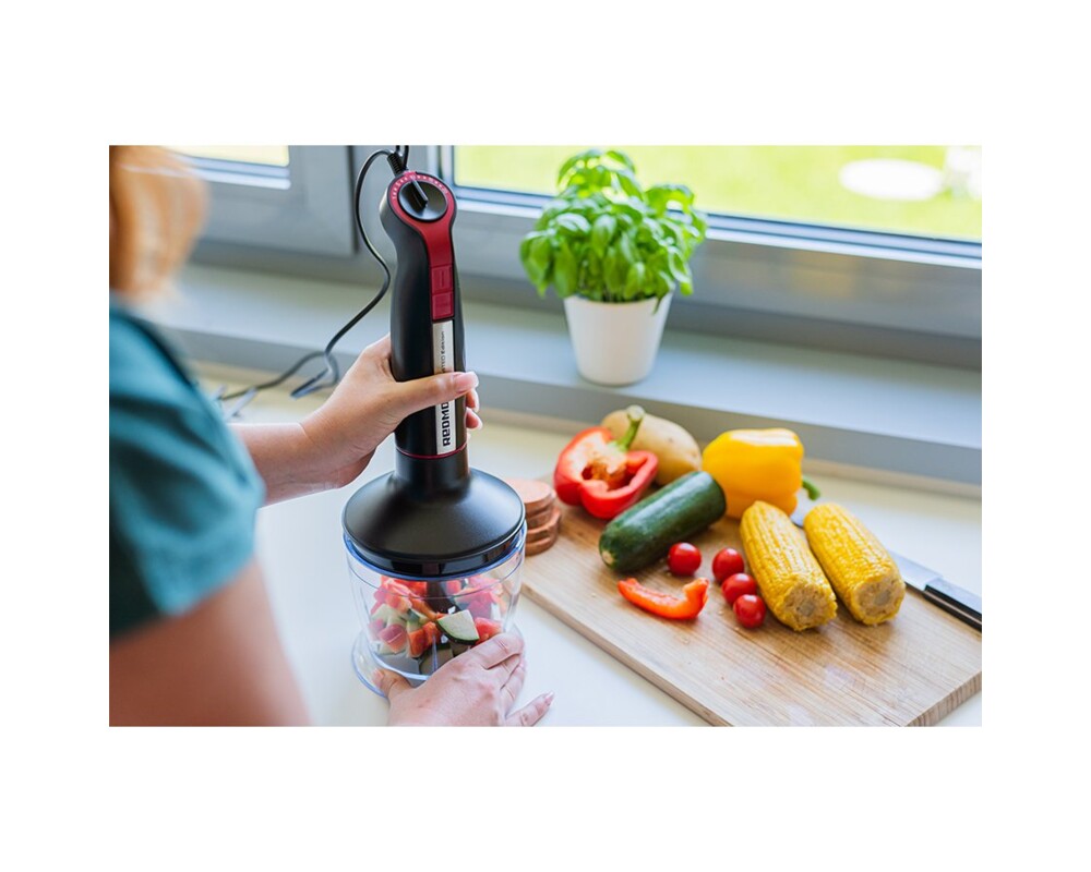 Блендер Hand Blender REDMOND RHB-2961-E 2