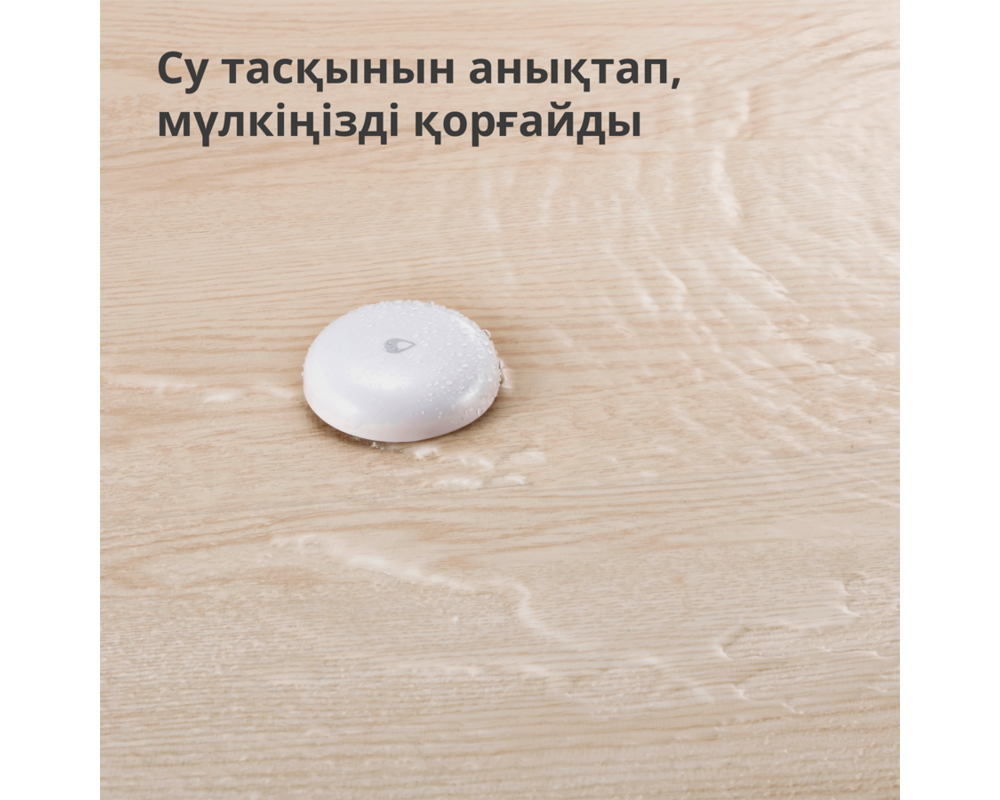 Smart Home Aqara Water Leak Sensor T1: Model No: WL... 14