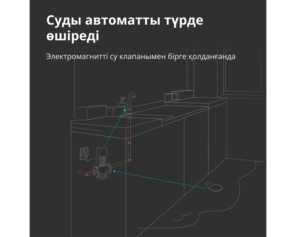 Smart Home Aqara Water Leak Sensor T1: Model No: WL... 38