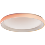 <span>Smart осветително тяло</span> Aqara Ceiling Light T1M: Model No: CL-L0... <span class='catalog-num-in-name'>CL-L02D</span> - 