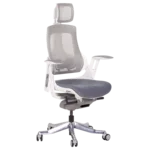 <span>Офис стол</span> Ергономичен стол AMBRA - сив <span class='catalog-num-in-name'>3520781</span> - 