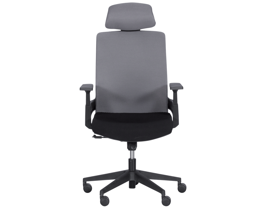 Офис стол Президентски офис стол Carmen 7544 - черен 2