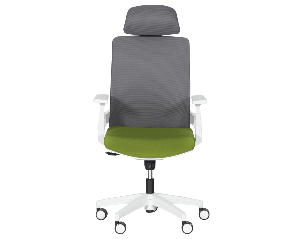 Офис стол Президентски офис стол Carmen 7546 - тъмнозелен-сив 2