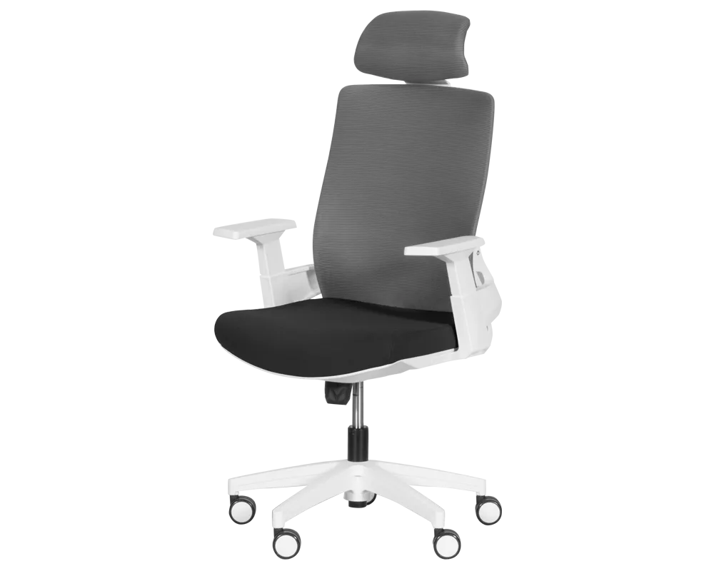 Офис стол Президентски офис стол Carmen 7546 - черен - сив 3