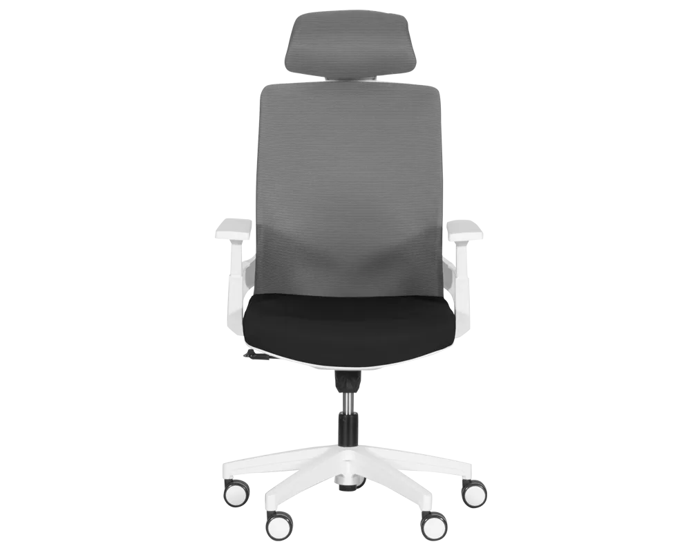 Офис стол Президентски офис стол Carmen 7546 - черен - сив 2