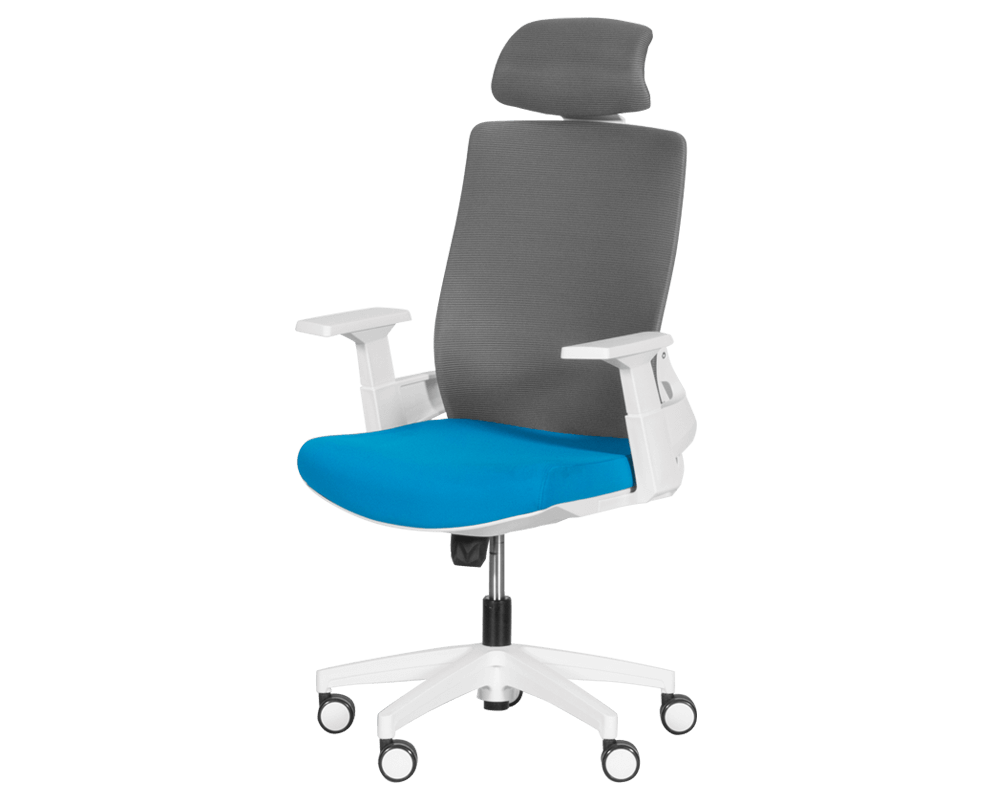 Офис стол Президентски офис стол Carmen 7546 - син-сив 3