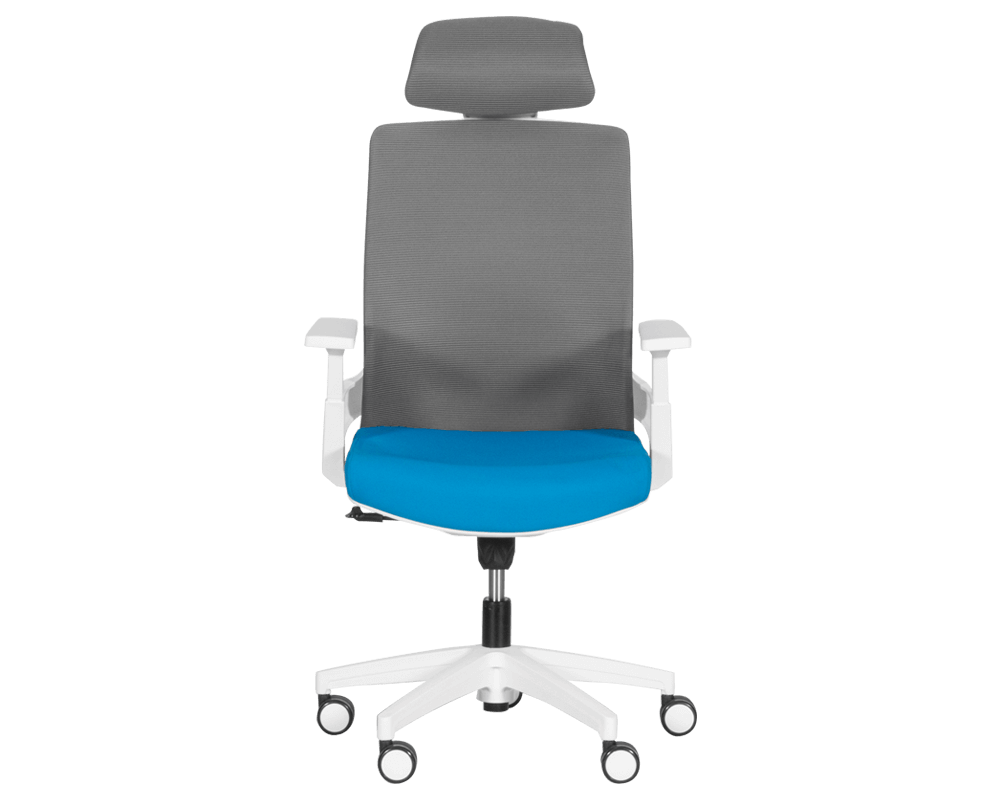 Офис стол Президентски офис стол Carmen 7546 - син-сив 2