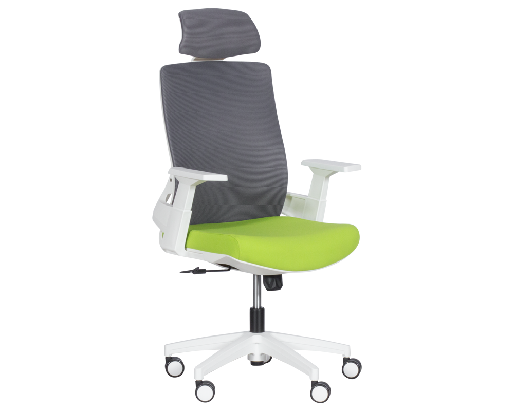 Офис стол Президентски офис стол Carmen 7546 - зелен-сив