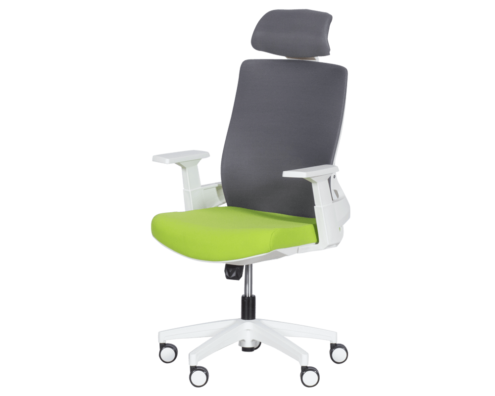 Офис стол Президентски офис стол Carmen 7546 - зелен-сив 3