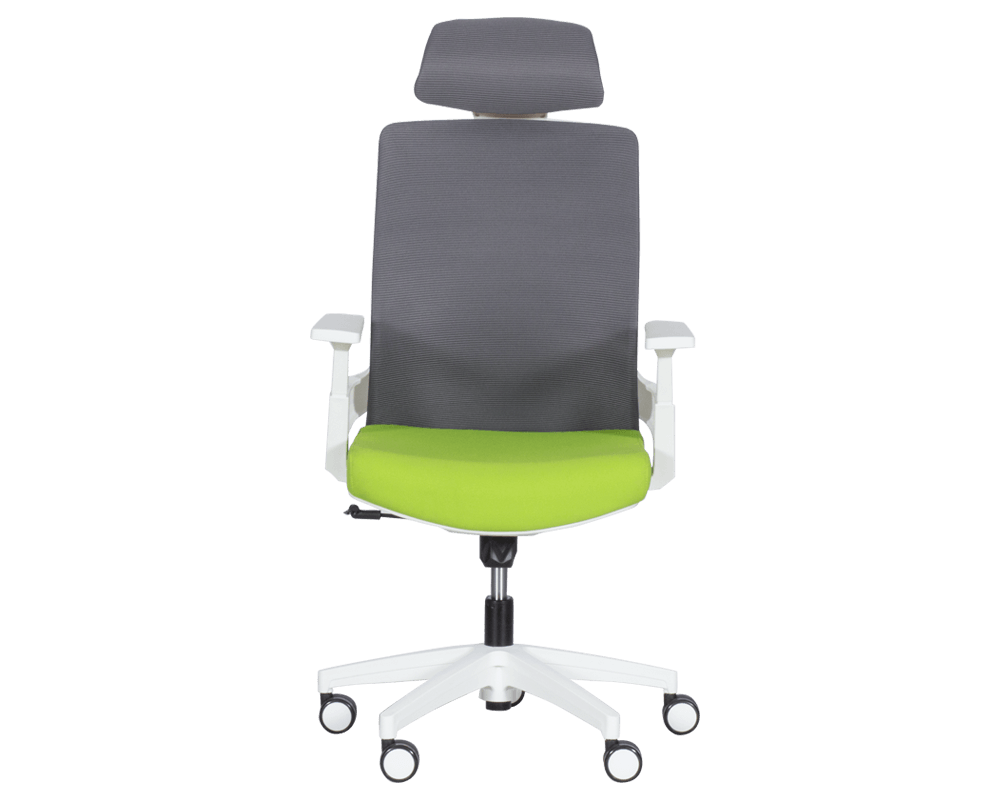 Офис стол Президентски офис стол Carmen 7546 - зелен-сив 2