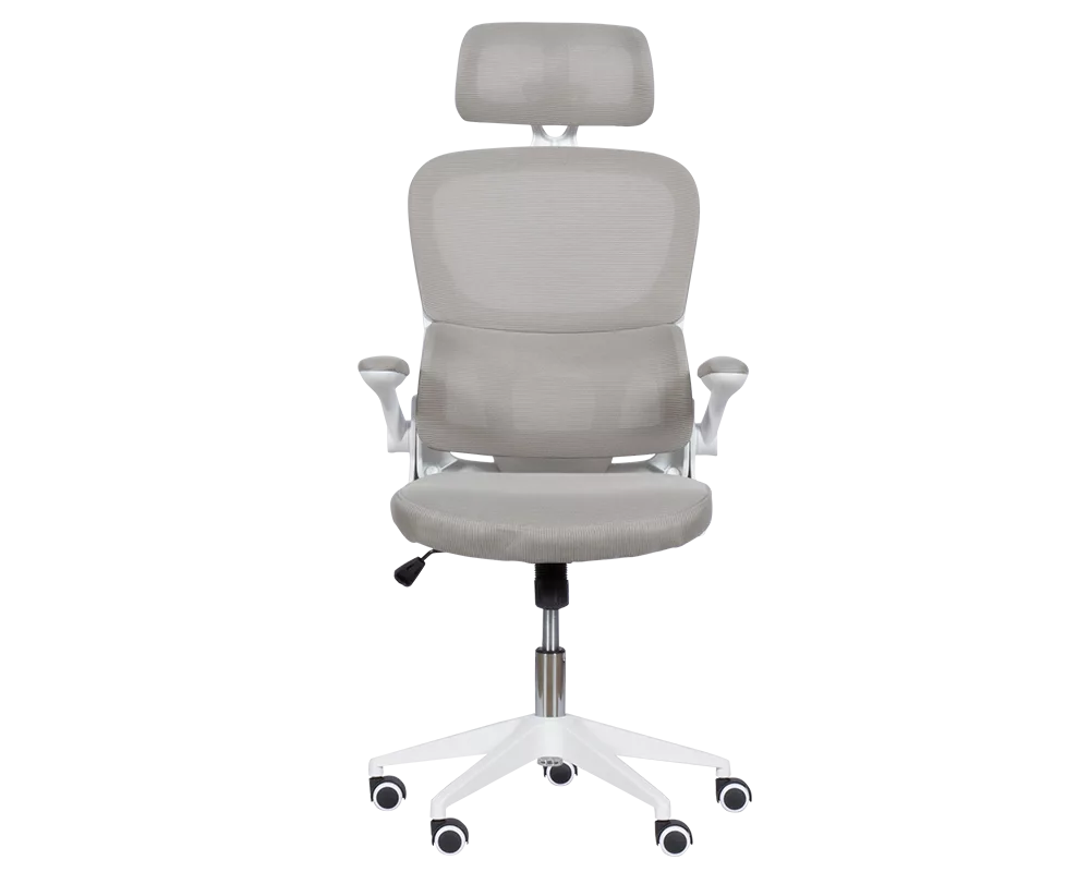 Офис стол Президентски офис стол Carmen 7585 - светлосив 2