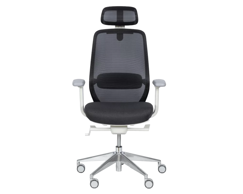 Офис стол Ергономичен стол GLAND - черен 2