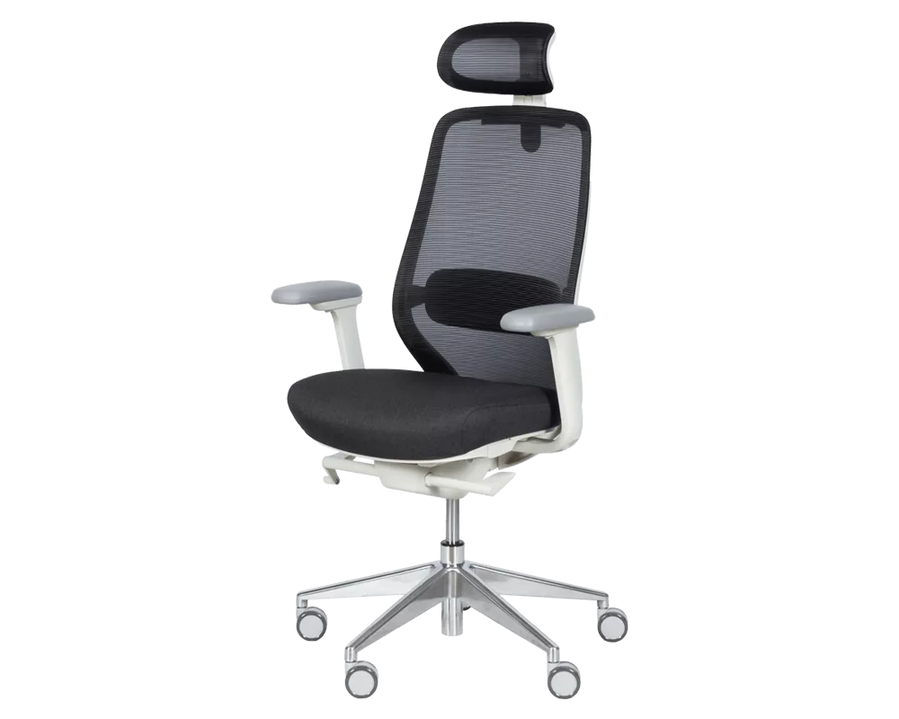 Офис стол Ергономичен стол GLAND - черен 3