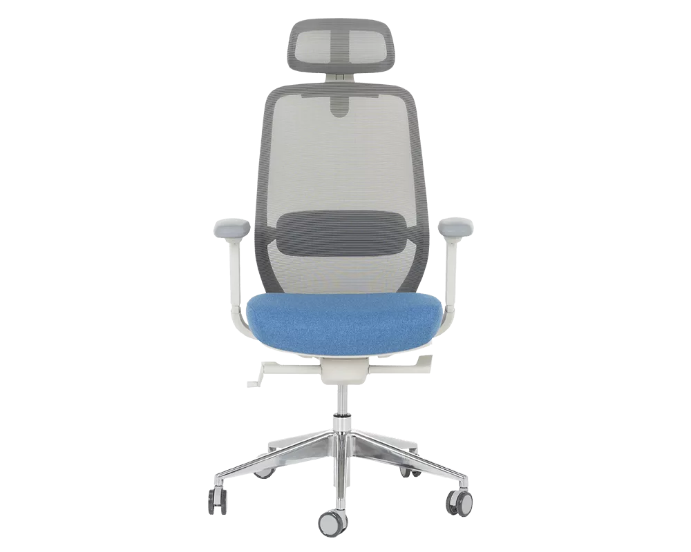 Офис стол Ергономичен стол GLAND - син-сив 2