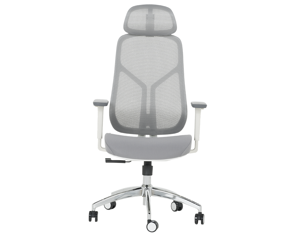 Офис стол Ергономичен стол Carmen 7901 W - сив 3