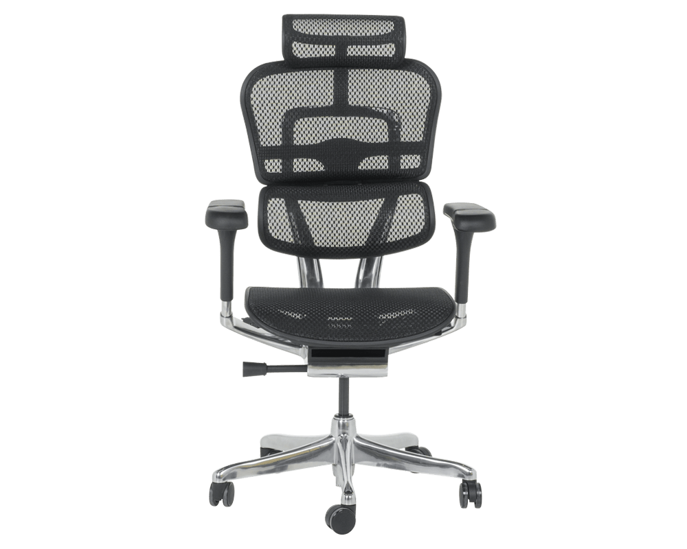 Офис стол Ергономичн стол ERGOHUMAN ELITE 2 - черен 2