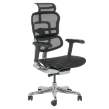  Ергономичн стол ERGOHUMAN ELITE 2 - черен 827366 3520660 на топ цена - PIC.bg