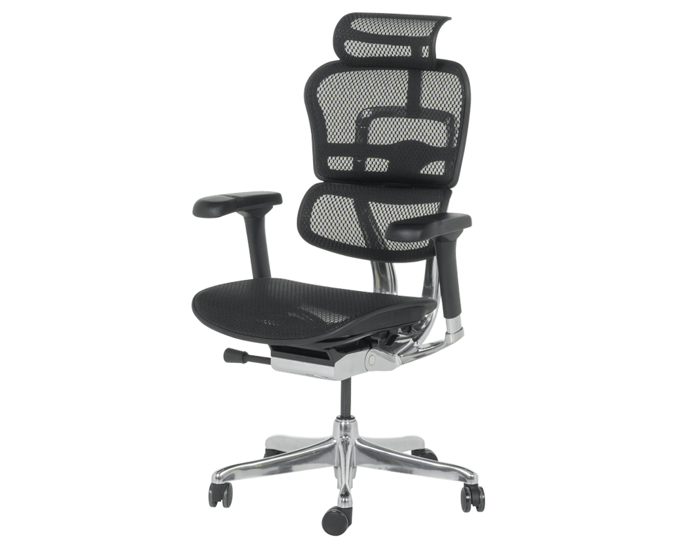 Офис стол Ергономичн стол ERGOHUMAN ELITE 2 - черен 3